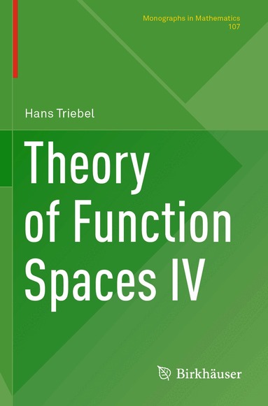Hans Triebel - Theory of Function Spaces IV, Häftad