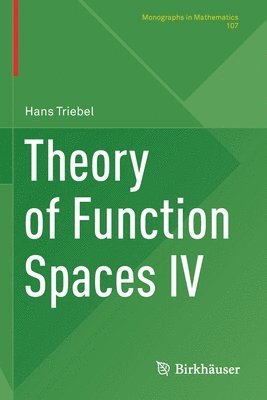 Theory of Function Spaces IV