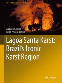 bokomslag Lagoa Santa Karst: Brazil's Iconic Karst Region