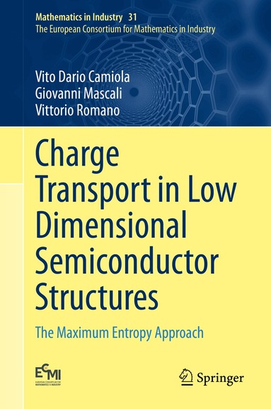 Vito Dario Camiola, Giovanni Mascali, Vittorio Romano - Charge Transport in Low Dimensional Semiconductor Structures, Inbunden