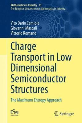 Vito Dario Camiola, Giovanni Mascali, Vittorio Romano - Charge Transport in Low Dimensional Semiconductor Structures, Inbunden