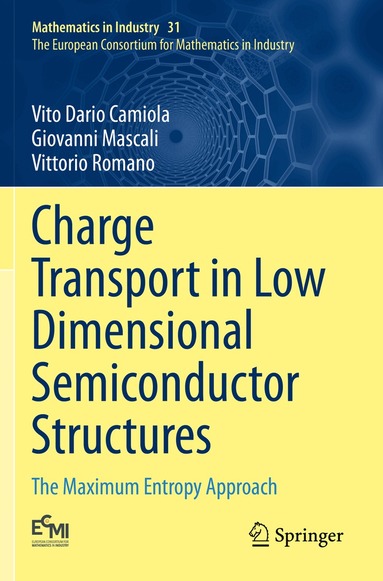 Vito Dario Camiola, Giovanni Mascali, Vittorio Romano - Charge Transport in Low Dimensional Semiconductor Structures, Häftad