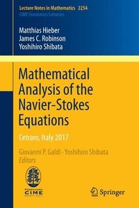 bokomslag Mathematical Analysis of the Navier-Stokes Equations