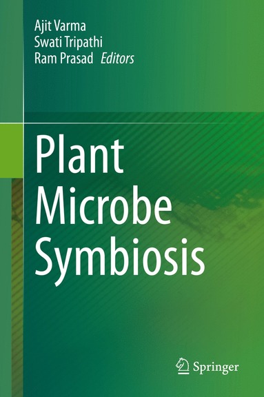 bokomslag Plant Microbe Symbiosis