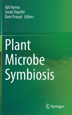 Ajit Varma, Swati Tripathi, Ram Prasad - Plant Microbe Symbiosis, Inbunden