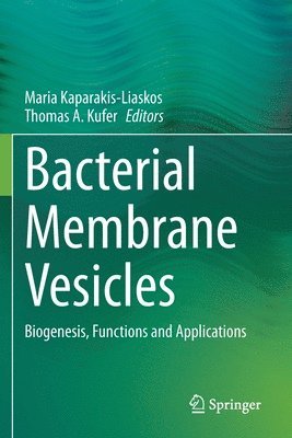 Bacterial Membrane Vesicles