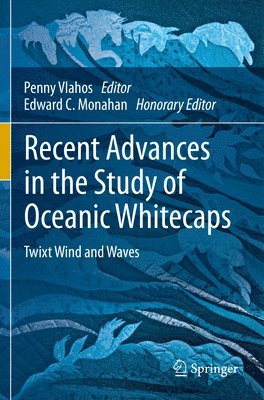Penny Vlahos, Edward C. Monahan - Recent Advances in the Study of Oceanic Whitecaps, Häftad