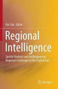 bokomslag Regional Intelligence