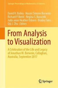 bokomslag From Analysis to Visualization