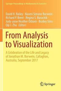bokomslag From Analysis to Visualization