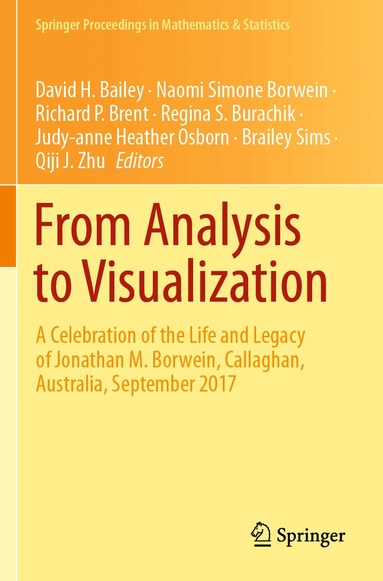 David H. Bailey, Naomi Simone Borwein, Richard P. Brent, Regina S. Burachik, Judy-anne Heather Osborn, Brailey Sims, Qiji J. Zhu - From Analysis to Visualization, Häftad