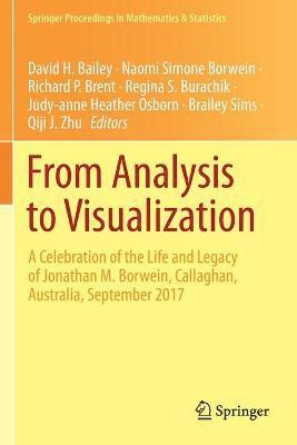 David H. Bailey, Naomi Simone Borwein, Richard P. Brent, Regina S. Burachik, Judy-anne Heather Osborn, Brailey Sims, Qiji J. Zhu - From Analysis to Visualization, Häftad