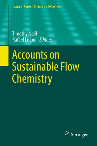 Timothy Noël, Rafael Luque - Accounts on Sustainable Flow Chemistry, Inbunden