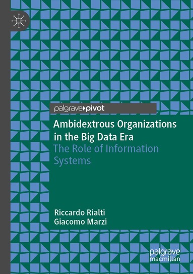 Riccardo Rialti, Giacomo Marzi - Ambidextrous Organizations in the Big Data Era, Häftad