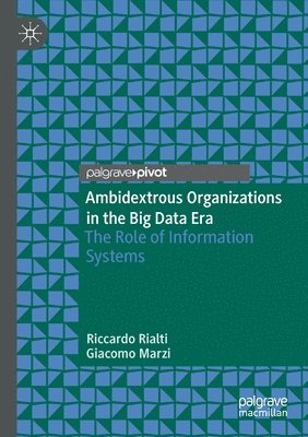 bokomslag Ambidextrous Organizations in the Big Data Era