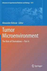 bokomslag Tumor Microenvironment