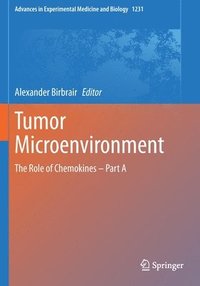 bokomslag Tumor Microenvironment