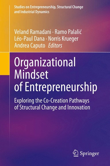 bokomslag Organizational Mindset of Entrepreneurship