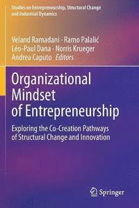 bokomslag Organizational Mindset of Entrepreneurship