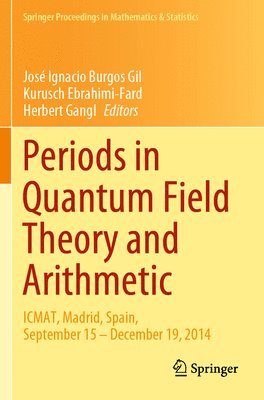 bokomslag Periods in Quantum Field Theory and Arithmetic