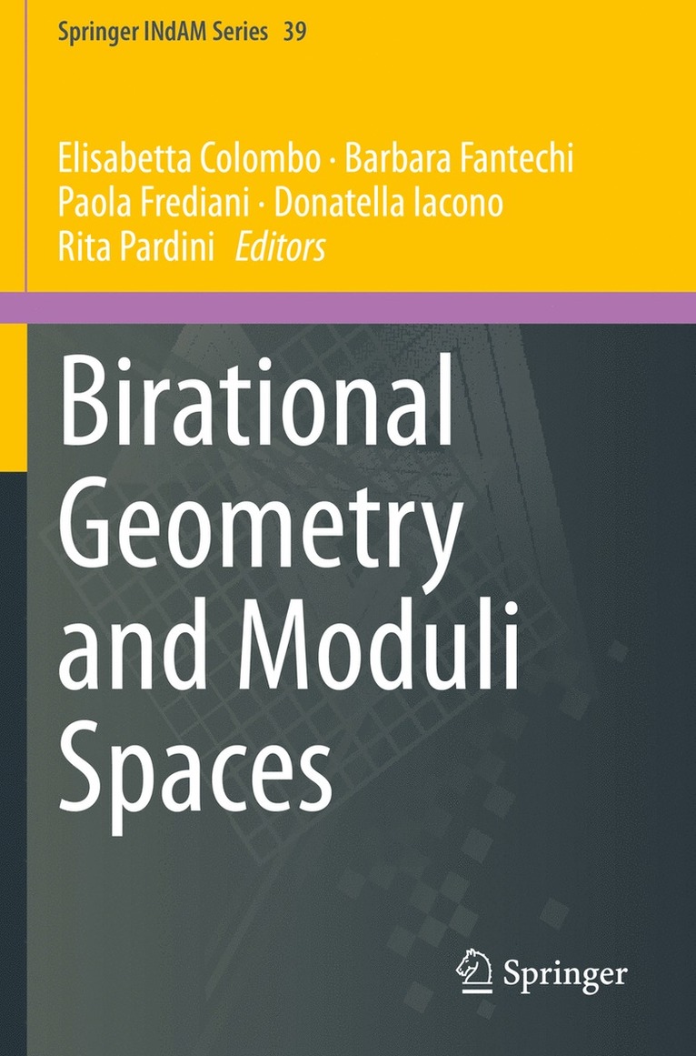 Elisabetta Colombo, Barbara Fantechi, Paola Frediani, Donatella Iacono, Rita Pardini - Birational Geometry and Moduli Spaces, Häftad