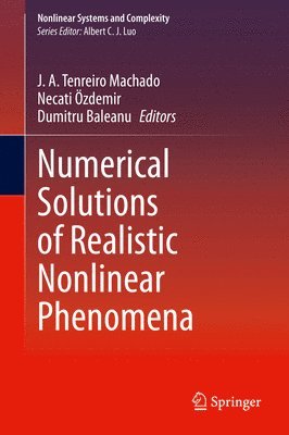 bokomslag Numerical Solutions of Realistic Nonlinear Phenomena
