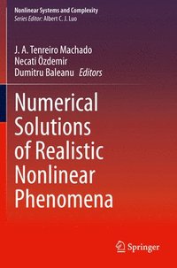 bokomslag Numerical Solutions of Realistic Nonlinear Phenomena