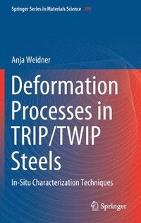 bokomslag Deformation Processes in TRIP/TWIP Steels