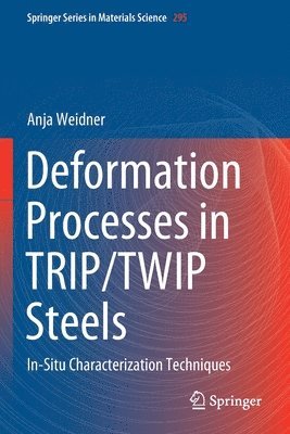 bokomslag Deformation Processes in TRIP/TWIP Steels