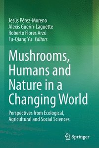 bokomslag Mushrooms, Humans and Nature in a Changing World