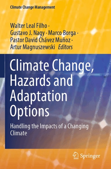 Walter Leal Filho, Gustavo J. Nagy, Marco Borga, Pastor David Chávez Muñoz, Artur Magnuszewski - Climate Change, Hazards and Adaptation Options, Häftad