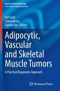 bokomslag Adipocytic, Vascular and Skeletal Muscle Tumors
