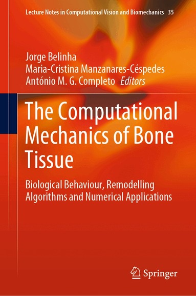 Jorge Belinha, Maria-Cristina Manzanares-Céspedes, António M. G. Completo - Computational Mechanics of Bone Tissue, Inbunden