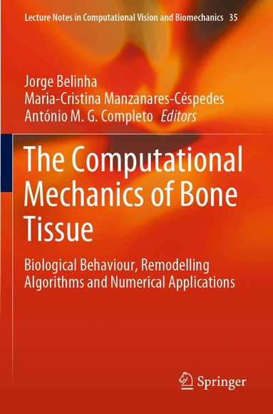 Jorge Belinha, Maria-Cristina Manzanares-Céspedes, António M. G. Completo - Computational Mechanics of Bone Tissue, Häftad