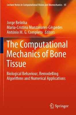 The Computational Mechanics of Bone Tissue 1