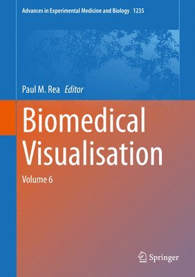 bokomslag Biomedical Visualisation