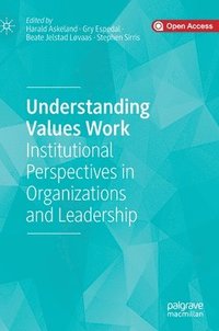 bokomslag Understanding Values Work