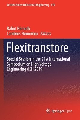 Bálint Németh, Lambros Ekonomou, Balint Nemeth - Flexitranstore, Häftad