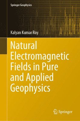 bokomslag Natural Electromagnetic Fields in Pure and Applied Geophysics