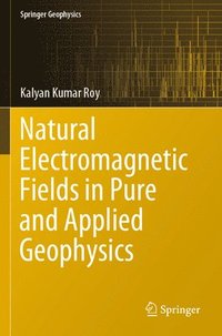 bokomslag Natural Electromagnetic Fields in Pure and Applied Geophysics
