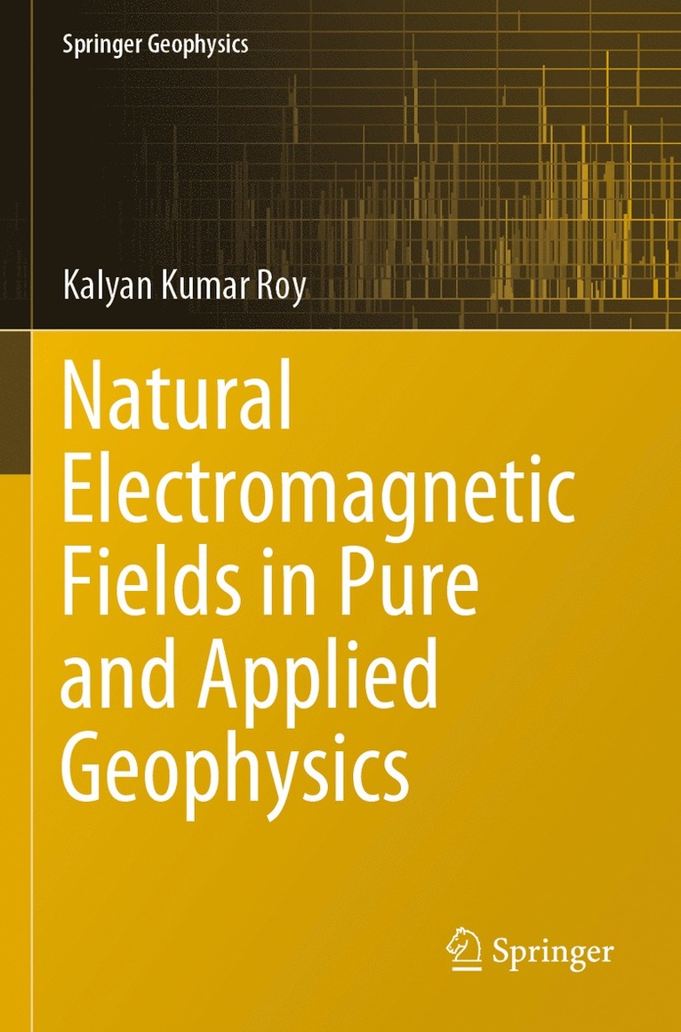 Kalyan Kumar Roy - Natural Electromagnetic Fields in Pure and Applied Geophysics, Häftad