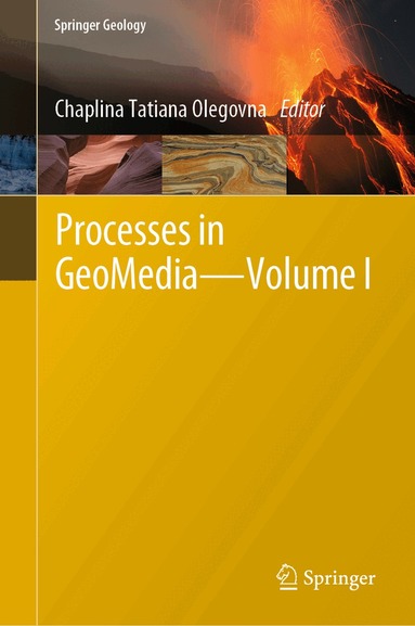 Chaplina Tatiana Olegovna - Processes in GeoMedia—Volume I, Inbunden