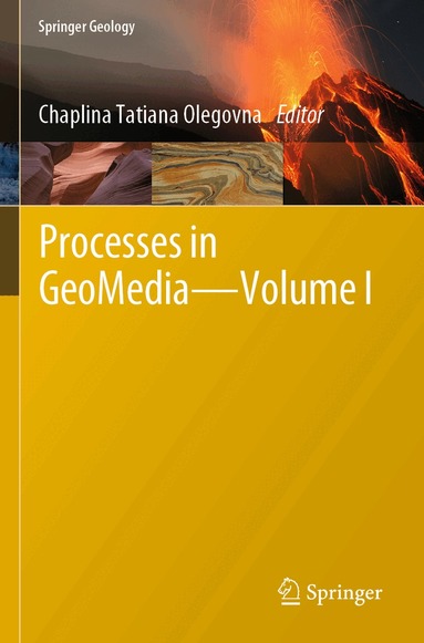 Chaplina Tatiana Olegovna - Processes in GeoMedia—Volume I, Häftad