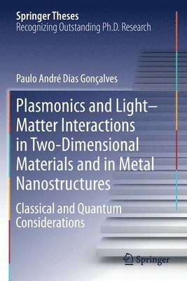 bokomslag Plasmonics and LightMatter Interactions in Two-Dimensional Materials and in Metal Nanostructures