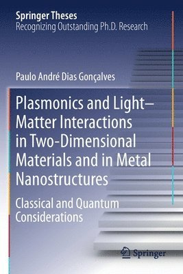 Paulo André Dias Gonçalves, Paulo Andre Dias Goncalves - Plasmonics and Light–Matter Interactions in Two-Dimensional Materials and in Metal Nanostructures, Häftad