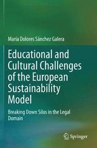 bokomslag Educational and Cultural Challenges of the European Sustainability Model