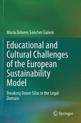 bokomslag Educational and Cultural Challenges of the European Sustainability Model