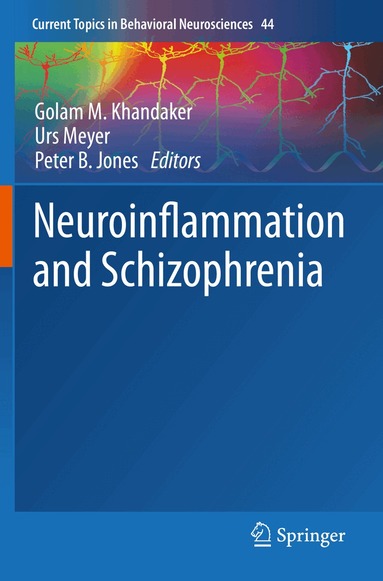 Golam M. Khandaker, Urs Meyer, Peter B. Jones - Neuroinflammation and Schizophrenia, Häftad