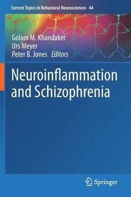 Golam M. Khandaker, Urs Meyer, Peter B. Jones - Neuroinflammation and Schizophrenia, Häftad