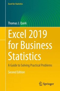 bokomslag Excel 2019 for Business Statistics